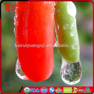 Zero pesticida goji berry goji bagas seca goji berry com a partir de ningxia